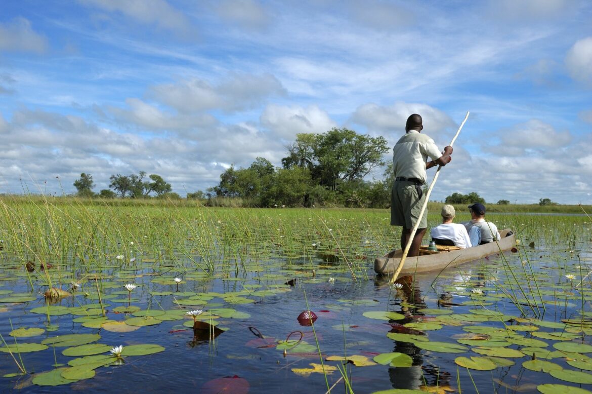 delta okavango