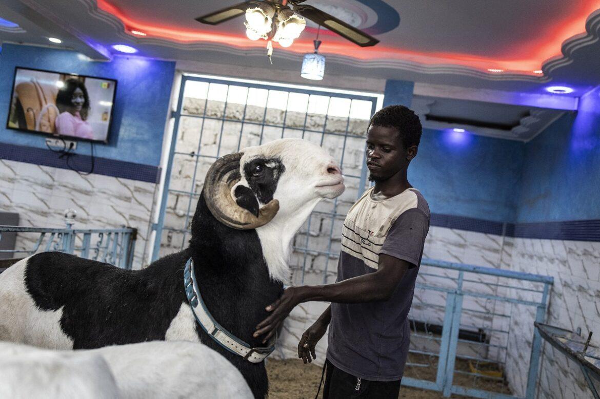 senegal
