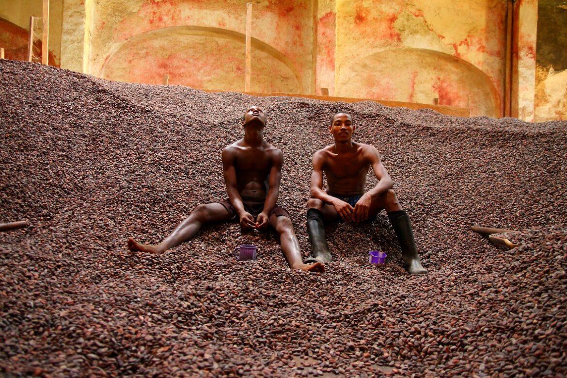cacao