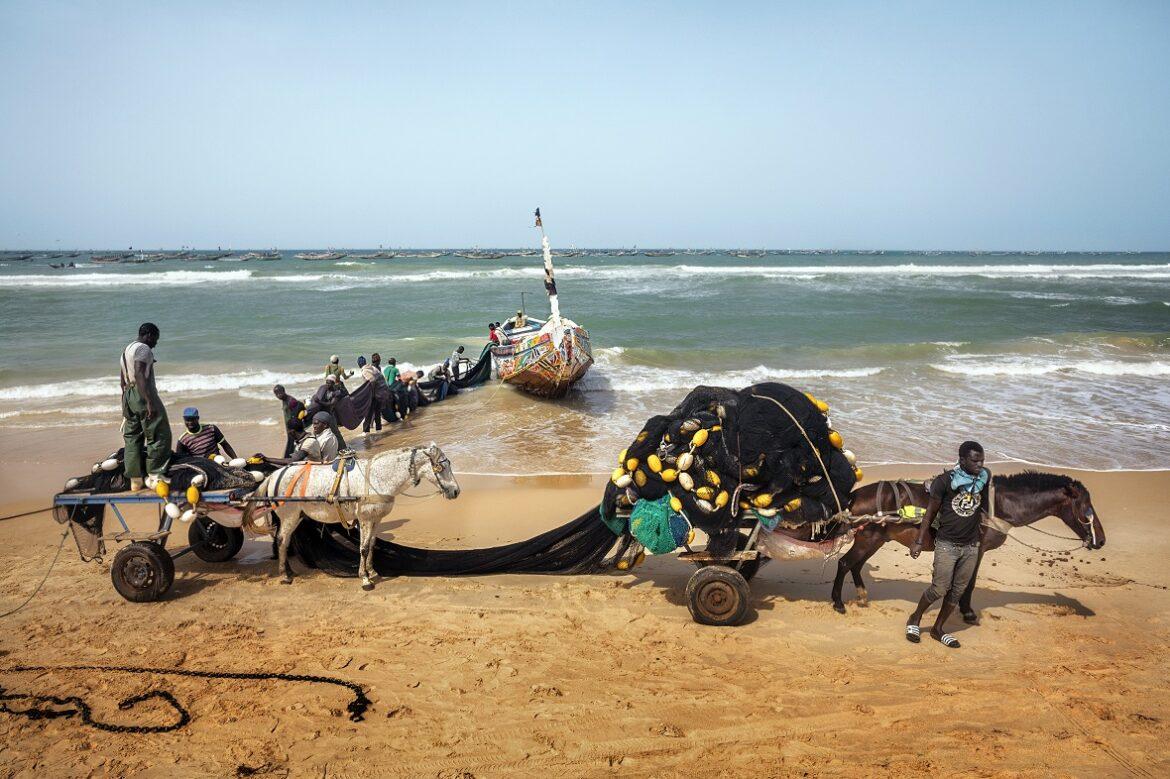 pesca senegal