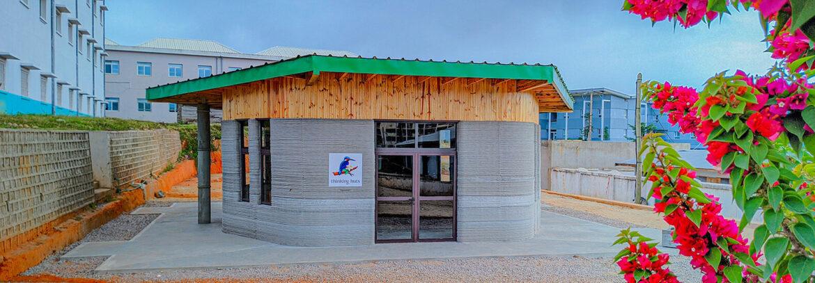 scuola 3d madagascar