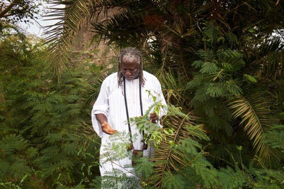 Senegal, un marabutto nel suo giardino Rivista Africa