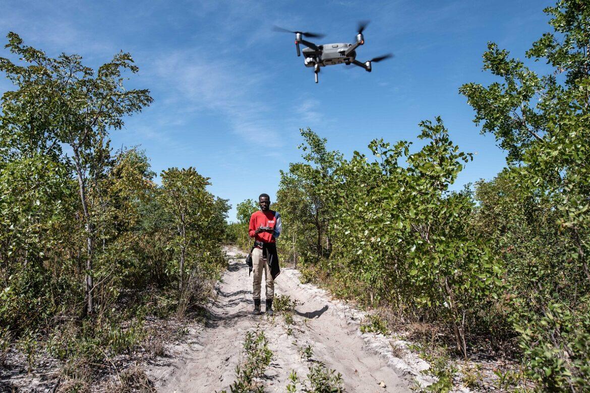 drone