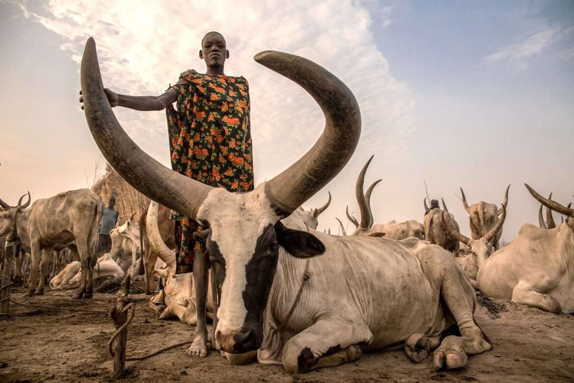 mundari