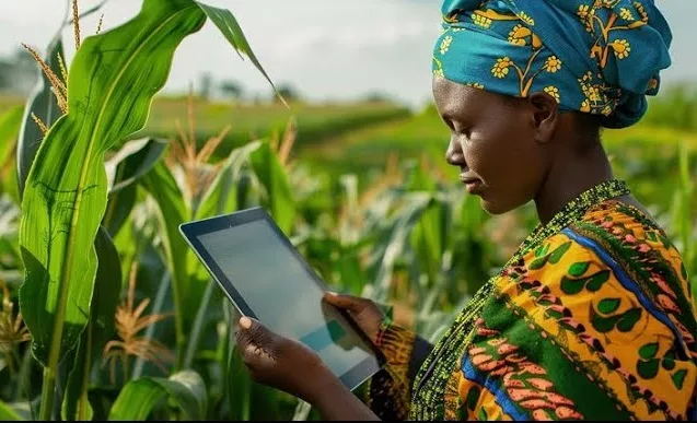 Bari capitale dell’innovazione: giovani e imprese per un futuro sostenibile tra Africa e Mediterraneo