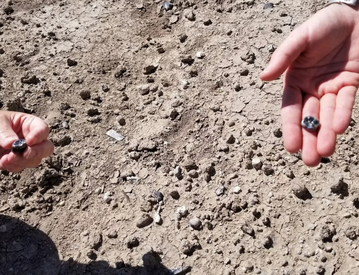 I denti della nuova specie di australopiteco scoperta in Etiopia