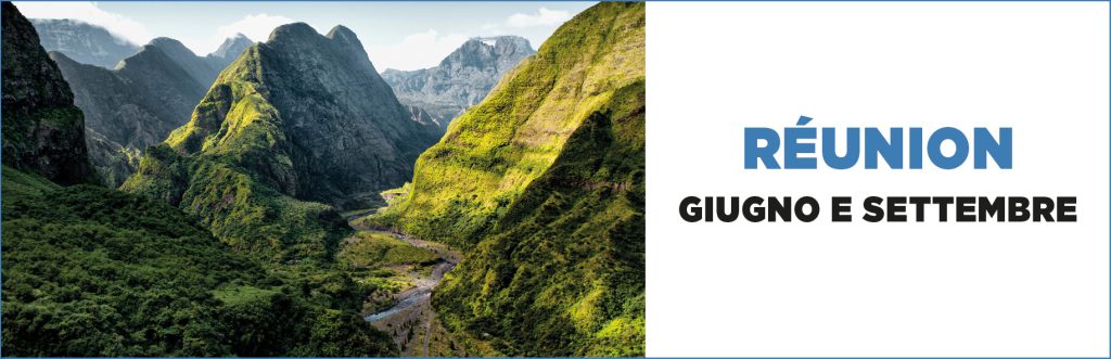 900 x 300 news RÉunion