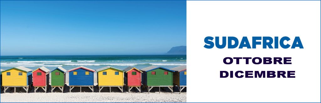 900 x 300 newsOTTOBREDIC