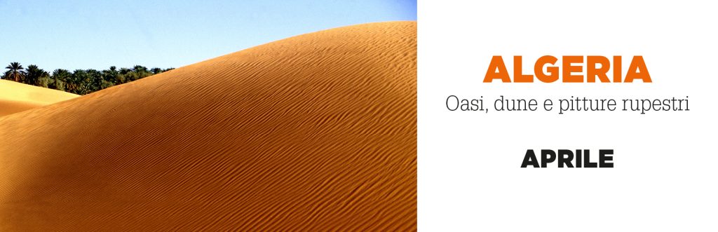 SITO CENTRALE 900 x 3004