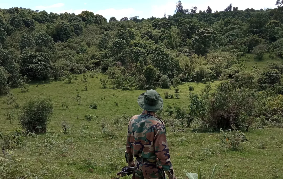 Ranger del Kenya Forest Service nel complesso forestale di Mau
