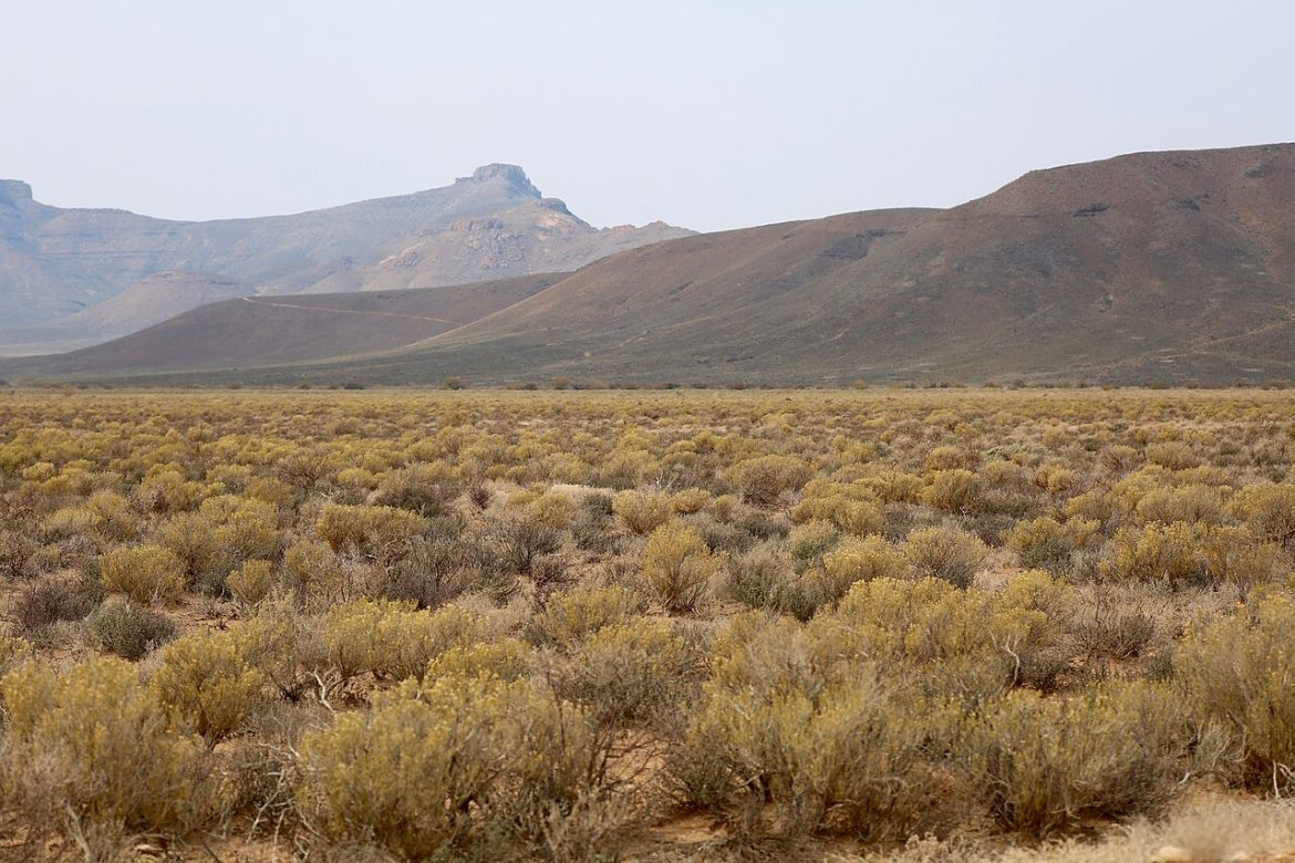 Karoo