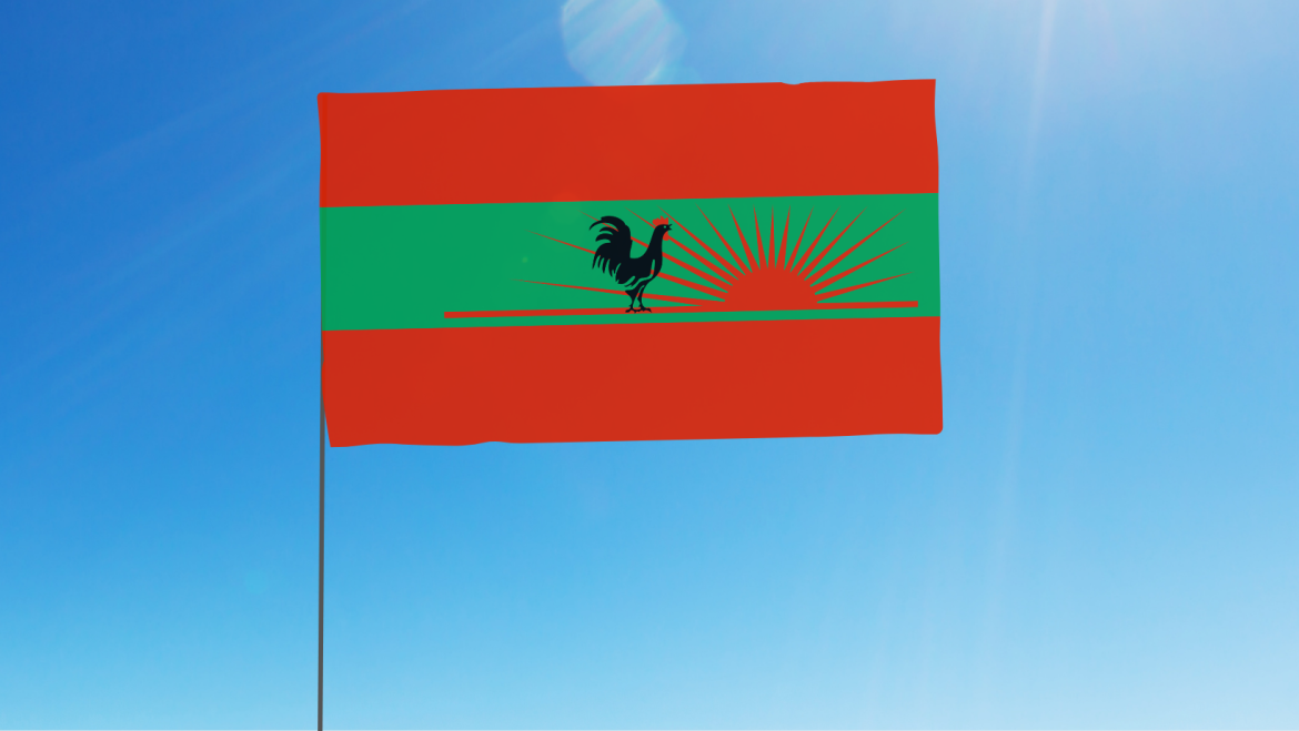 Unita bandiera