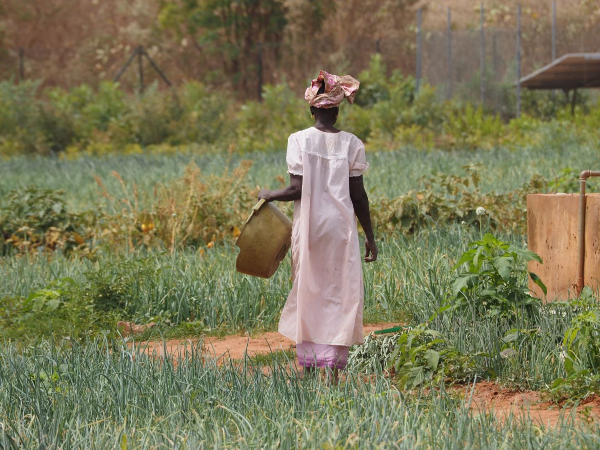 donna africana coltiva la terra